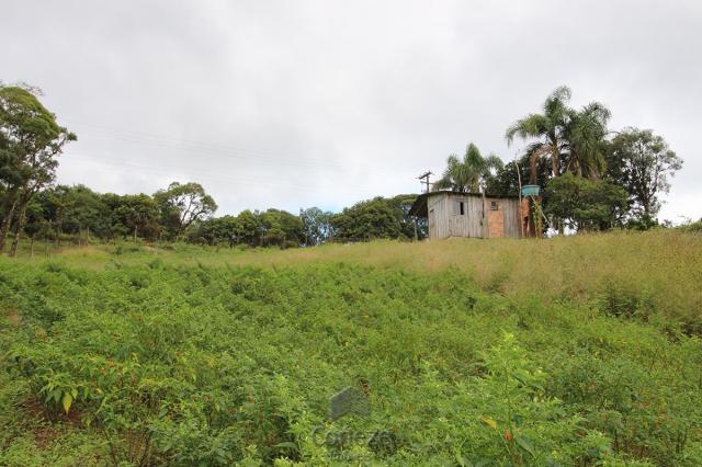 Chácara à venda na Colônia Murici - Foto 8