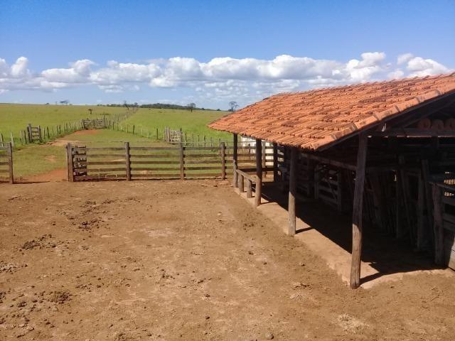Fazenda para venda em Formosa-GO - Foto 4