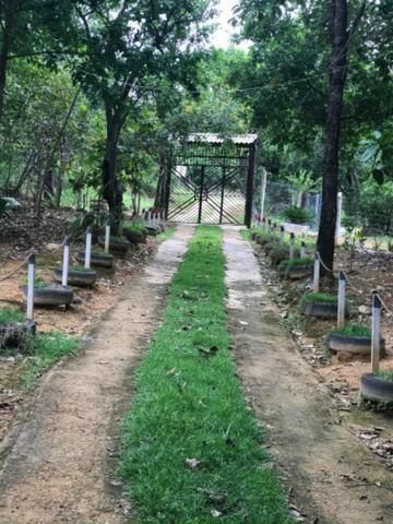 Alugo Chácara em Taquaruçu, Palmas - Tocantins - Foto 16