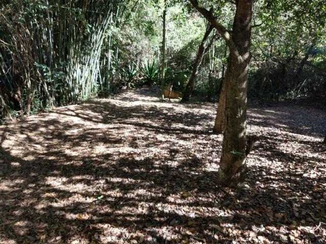 Sitio com aptidao para Pousada/Hospedagem - Foto 19