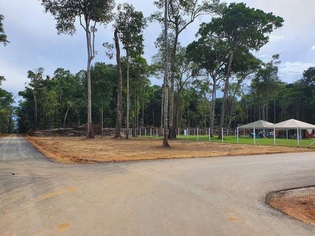 Chácaras Rio Negro, Lotes 1.000 m², a 15 minutos de Manaus/*/ - Foto 7