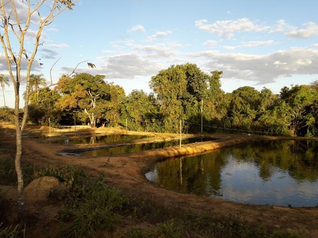 Fazenda à venda ou troca R$ 12 mil o Hectare- Zona Rural - Luziânia/GO - Foto 4