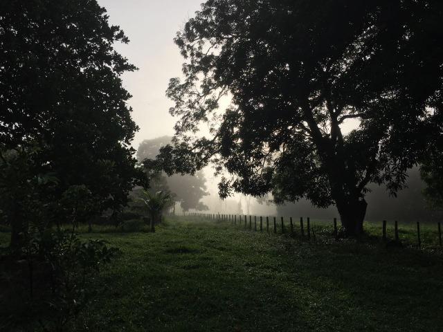 Bela fazenda com 450 hectares, super estruturada em Itapecuru -Mirim! - Foto 3