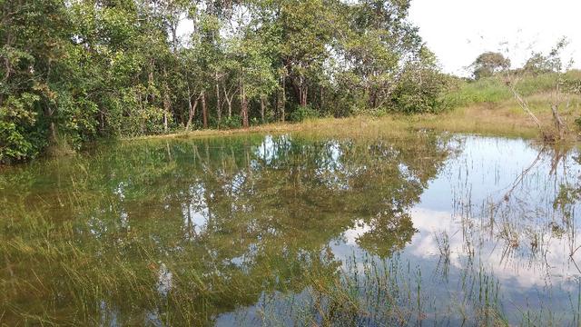 (Fazenda com 297ha em Mato Grosso) no município de Alto Paraguai(MT-409 KM35) - Foto 12