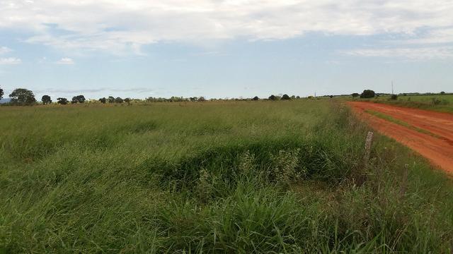 (Fazenda com 297ha em Mato Grosso) no município de Alto Paraguai(MT-409 KM35) - Foto 5
