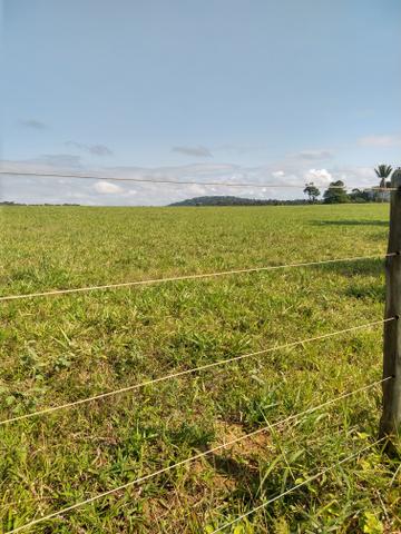 Vendo Fazendas - Foto 3