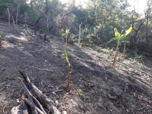 Terreno em Pindobal - Bambuí - Maricá - Foto 8