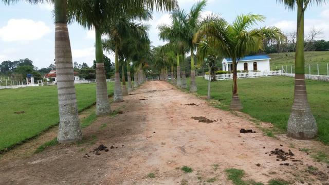 Sítio otima topografia com 10 A|lqueires - Bairro Pouso Alegre - Foto 2