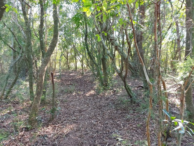 Velleda oferece 7 hectares completo, casa, galpão, açude, campo, ac. troca - Foto 6
