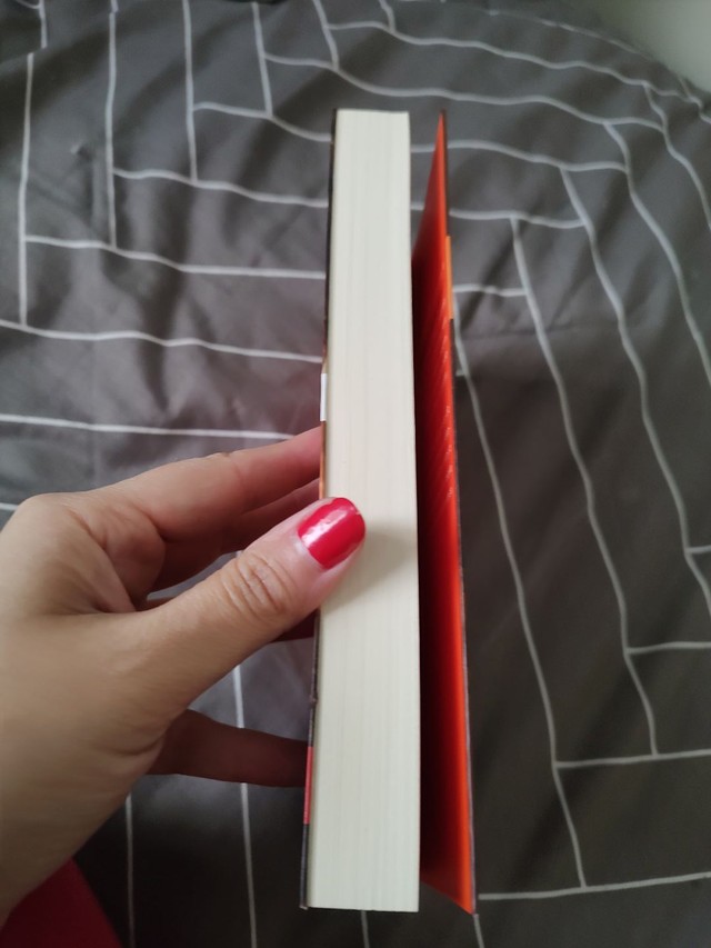 Livro As cores do entardecer  - Foto 3