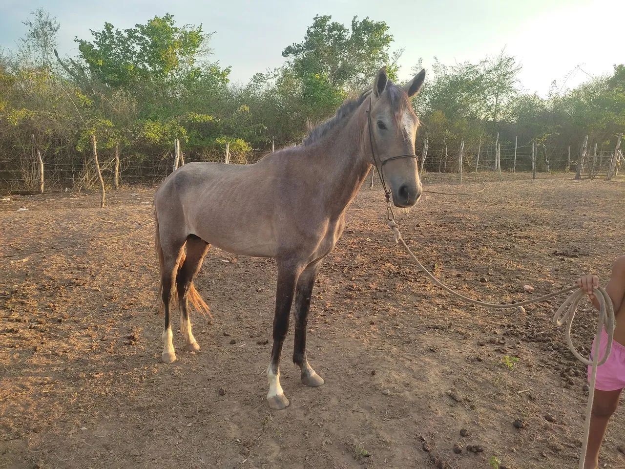 Oportunidade,Pra vender logo 