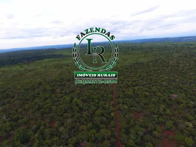 Fazenda 216  Alqueires Bruta Luzimangues  - Foto 4
