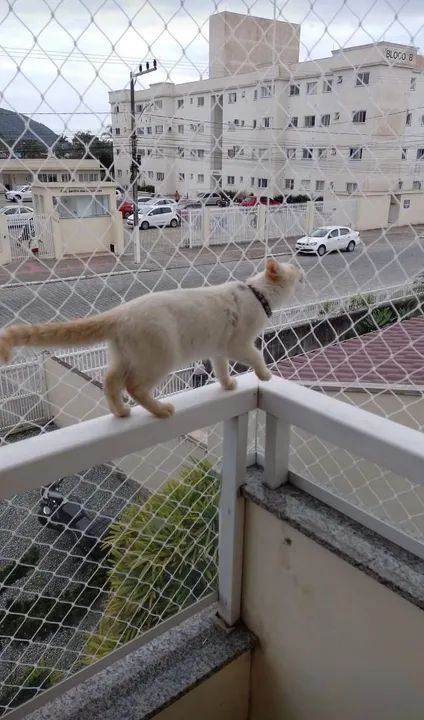 Telas/Redes de proteção  - Foto 6