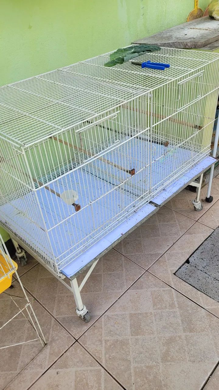 Cages / aviaries64313864423554122