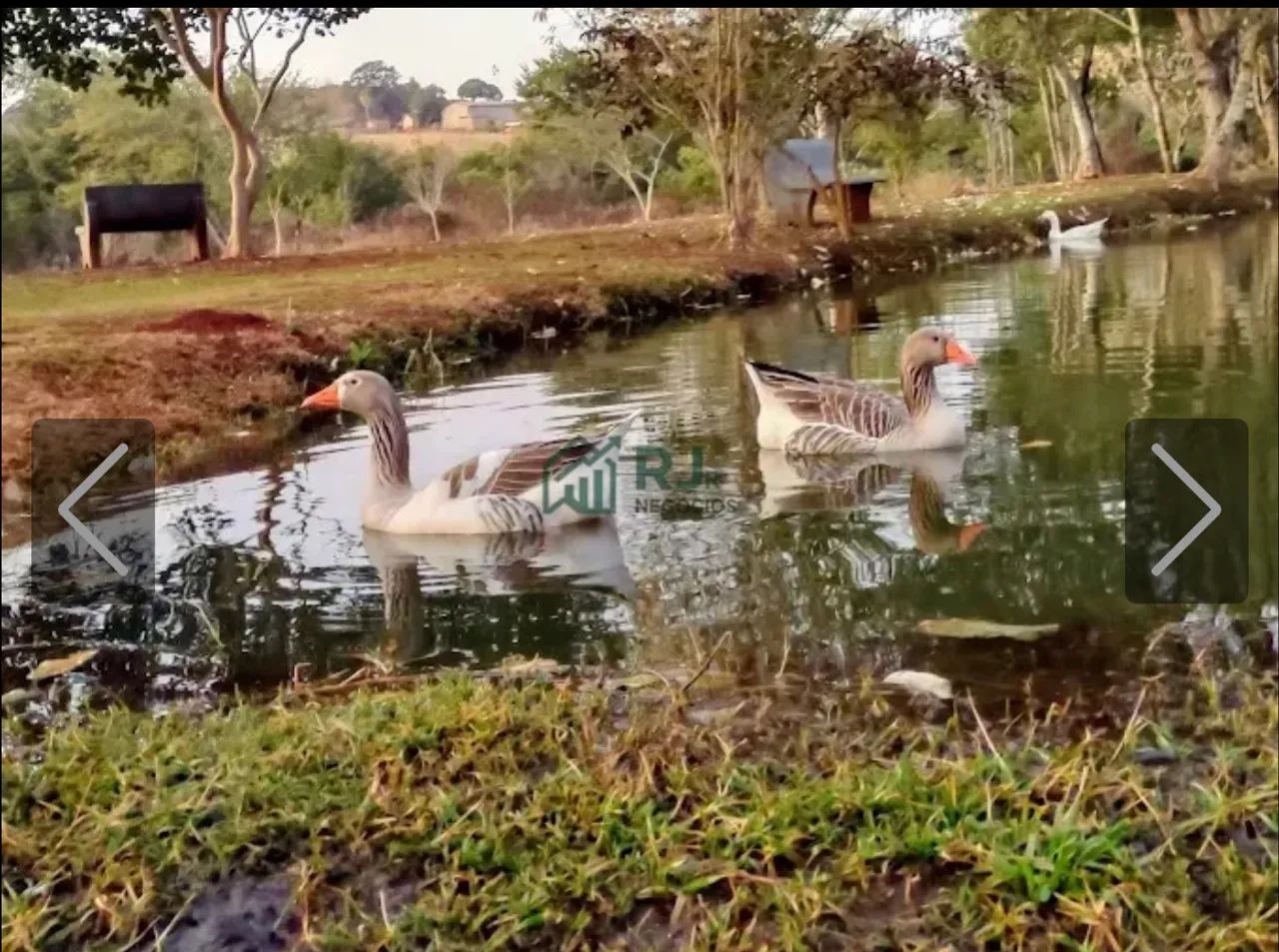 Terreno/Lote em Condomínio à Venda com 1880m²  - Foto 12