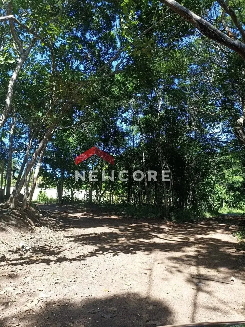 Lote em Praia do Forte (Mata de São João) - Açú da Torre - Mata de São João/BA