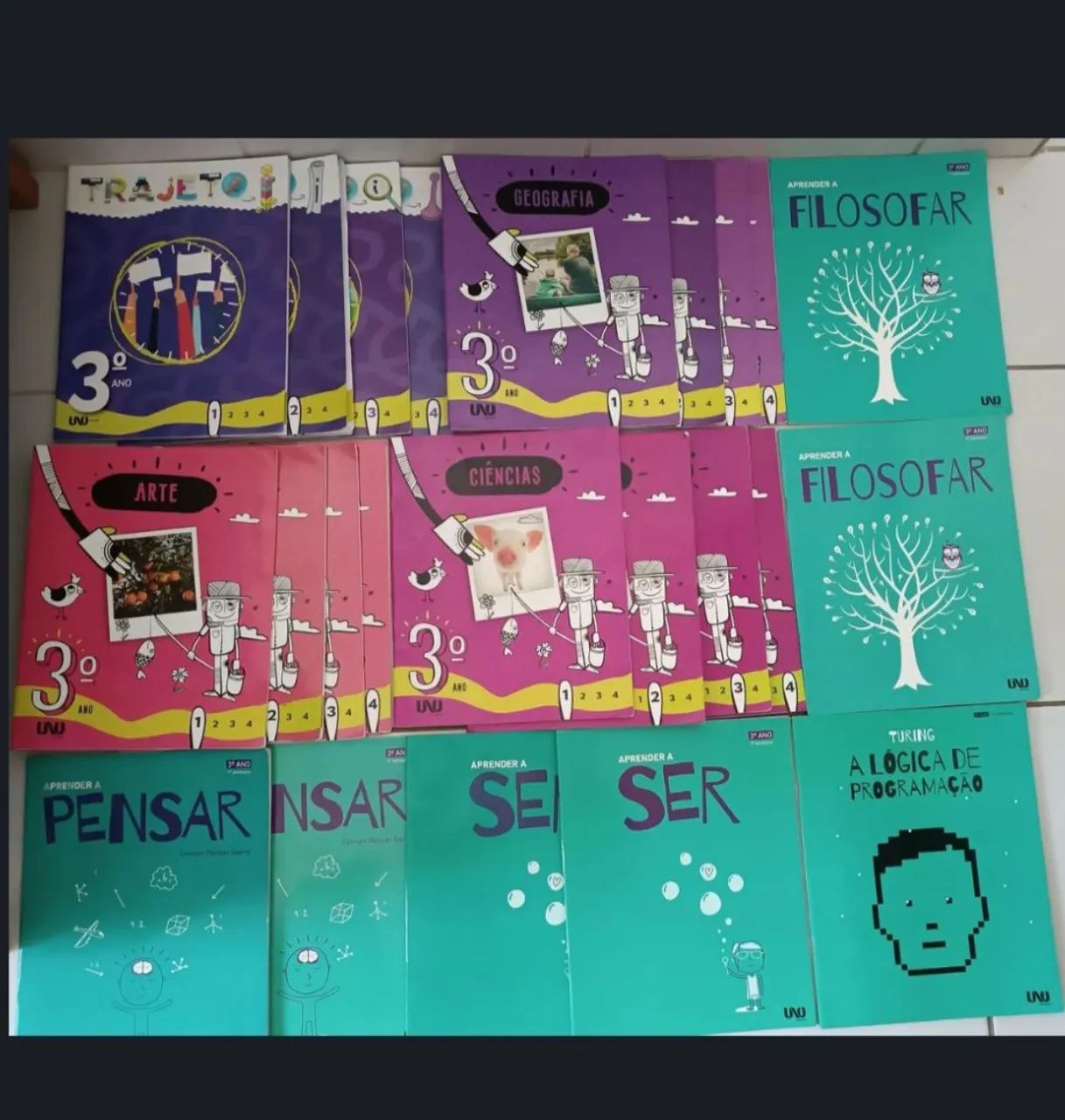 Livros unoi 3? ano fundamental menor 