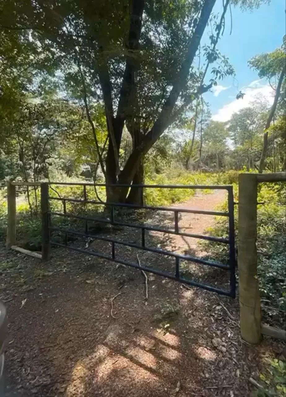 Chácara a 30 km do centro de palmas - Foto 3