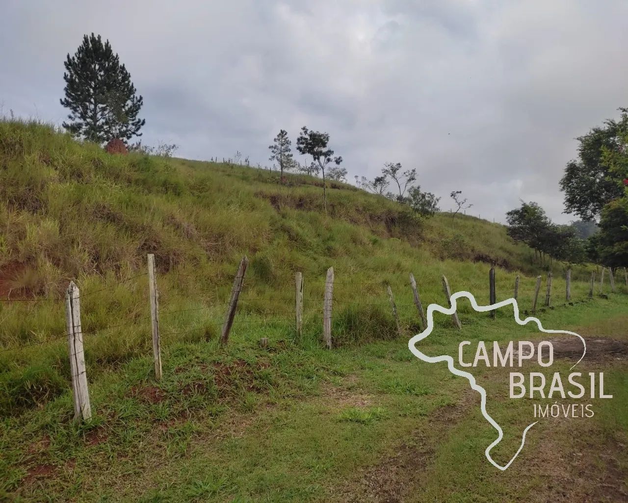 ÁREA RURAL 150.000M² EM JAMBEIRO COM TOPOGRAFIA MISTA!