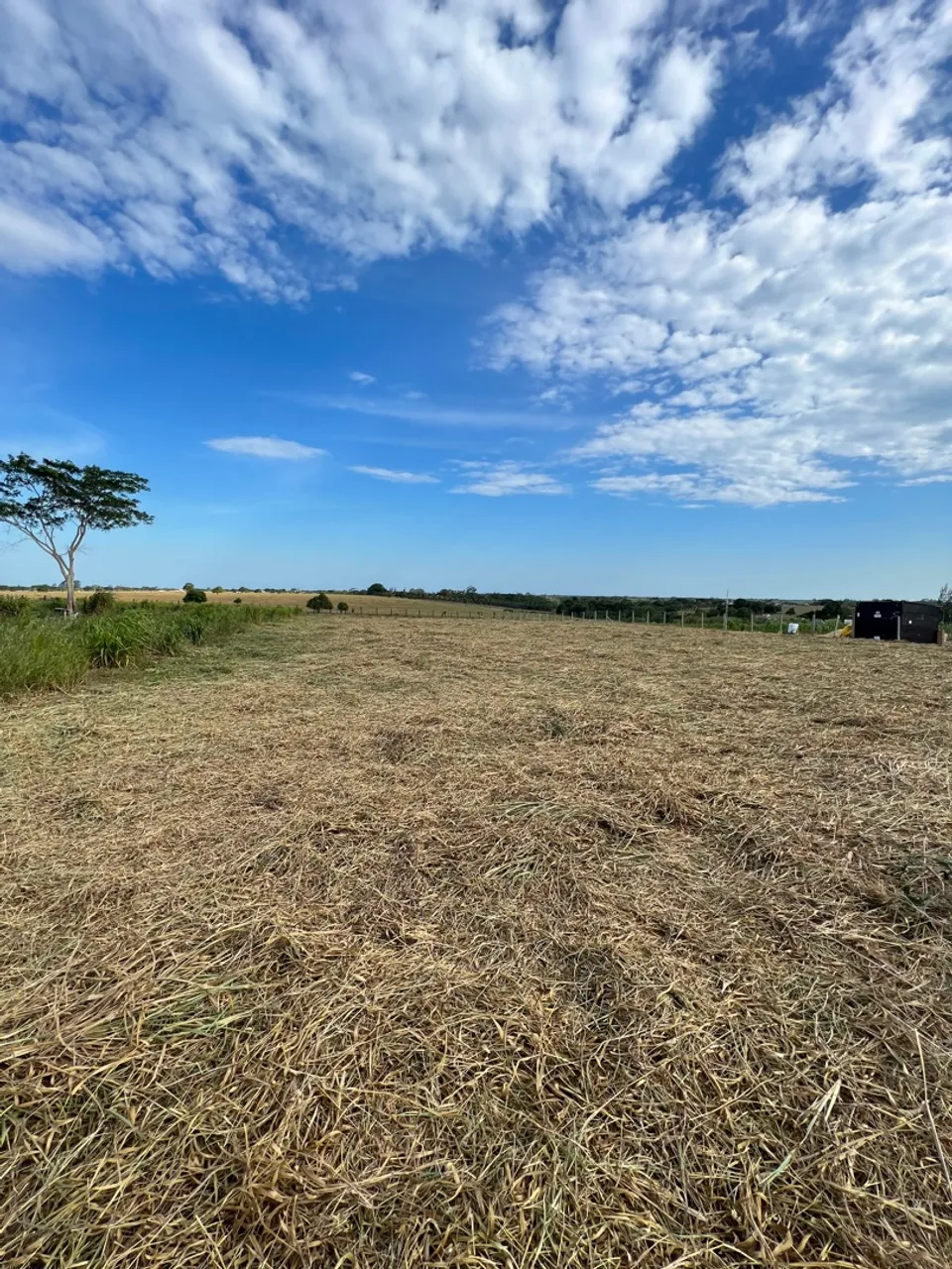 Chácara de 2.500 m ² / próximo da entrada de Morro alto - Quissamã