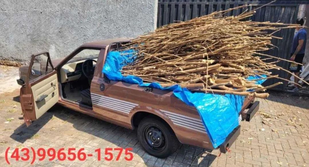 Retirada de entulho, descartáveis, sucata e galhos - Foto 5