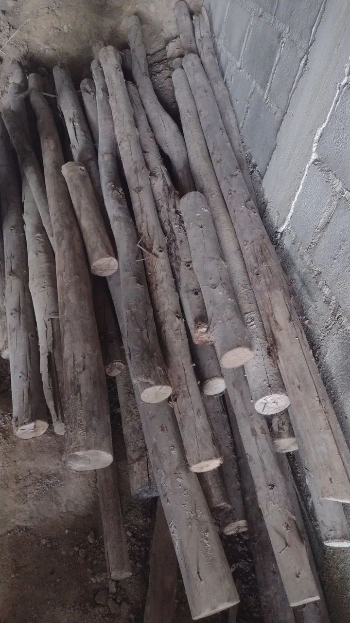 Vendo lote de ESCORAS DE MADEIRA PARA OBRA tamanho 2 e 3 metros - Foto 2