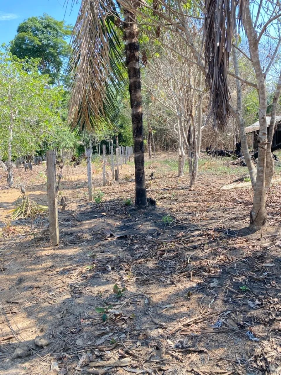 Chácara 100x250 - Foto 6