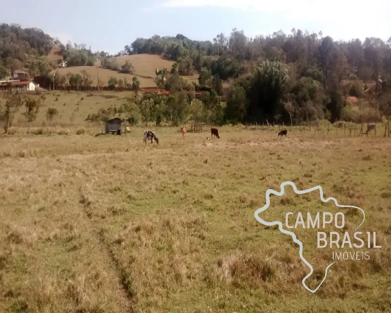 SÍTIO 32.000M² EM PARAISÓPOLIS - MG !