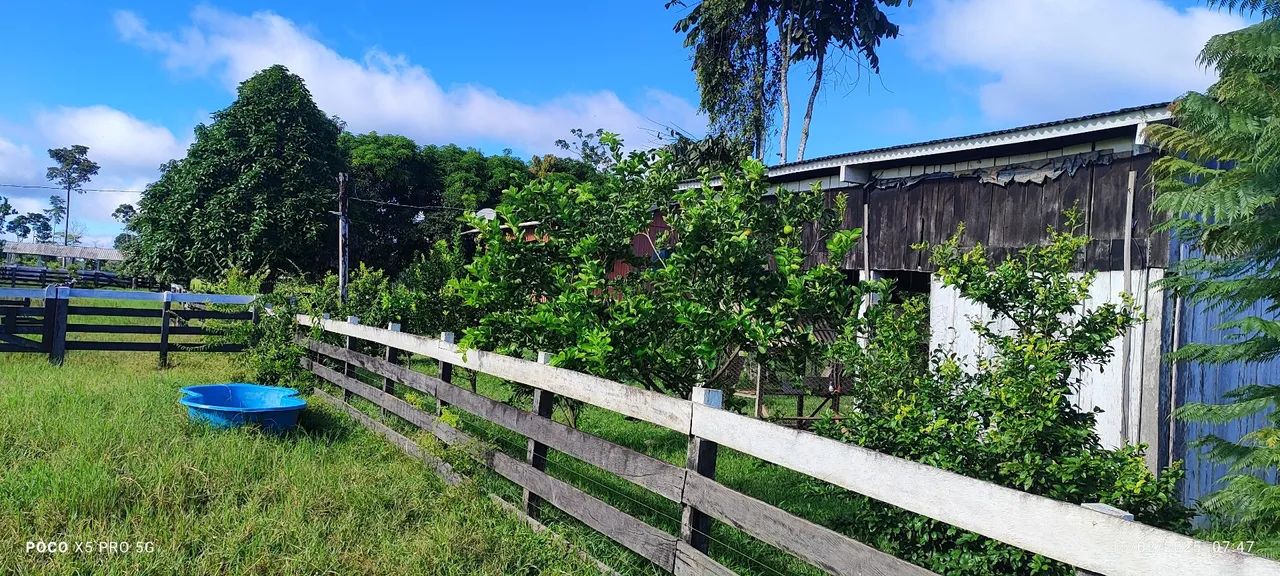Vende se fazenda, em Porto acre com 110hec - Foto 3