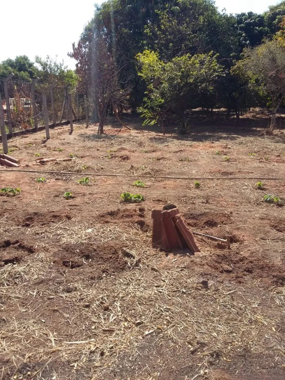Foto - São José do Rio Preto - Chácara Recreio Parque do Sabiá (Zona Rural)