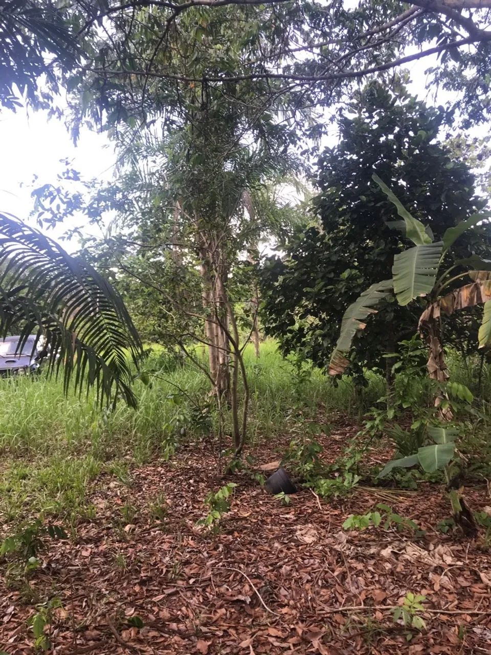 Chácara 100x250 - Foto 8