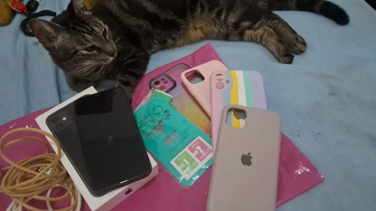 iPhone 11 128G única Dona caixa 81%bat  capa carregador e pelicula - Foto 2