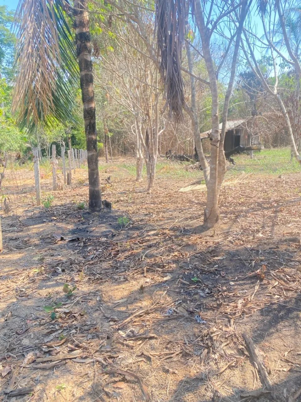 Chácara 100x250 - Foto 5