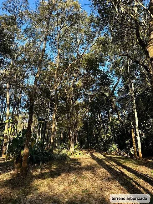 CASA MARAVILHOSA EM MACACOS - Foto 4
