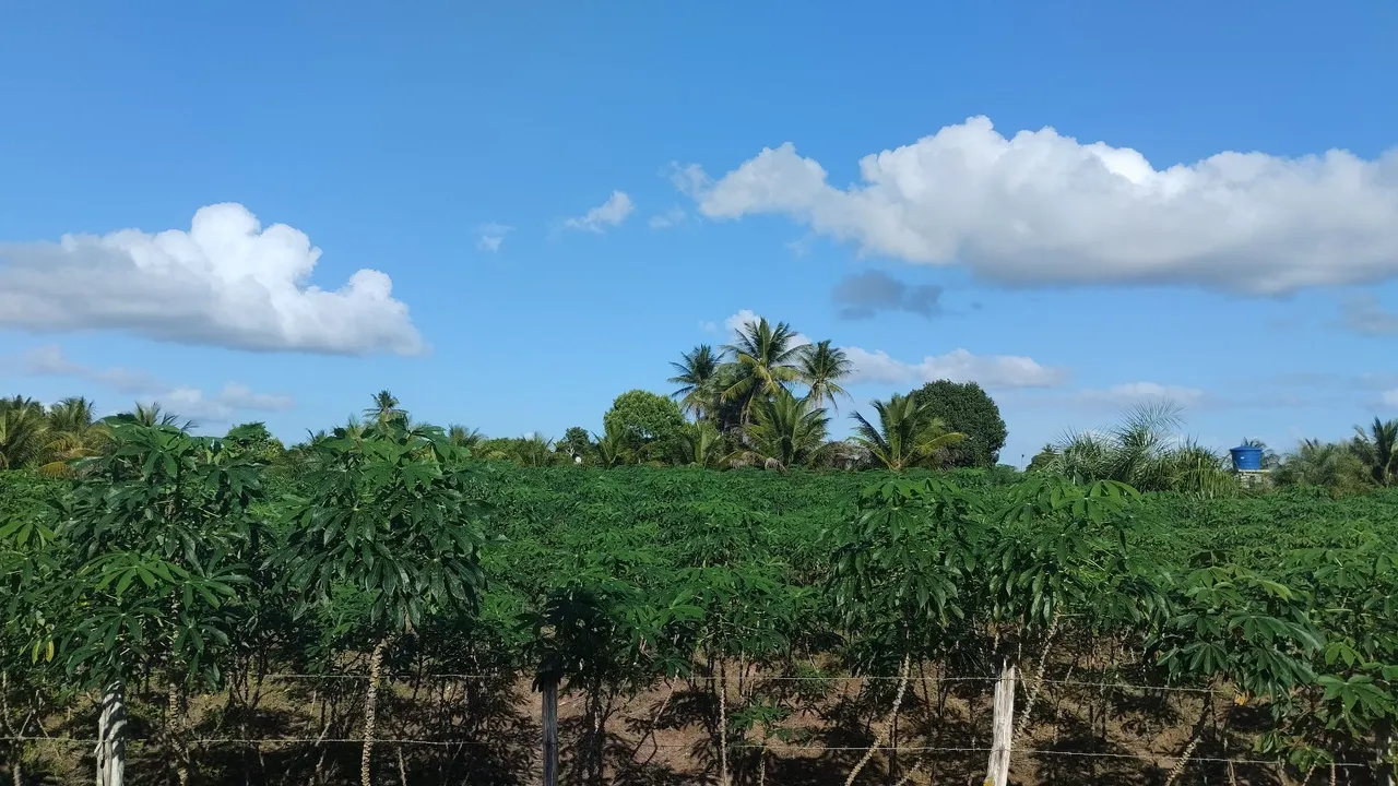 Terreno para chácara