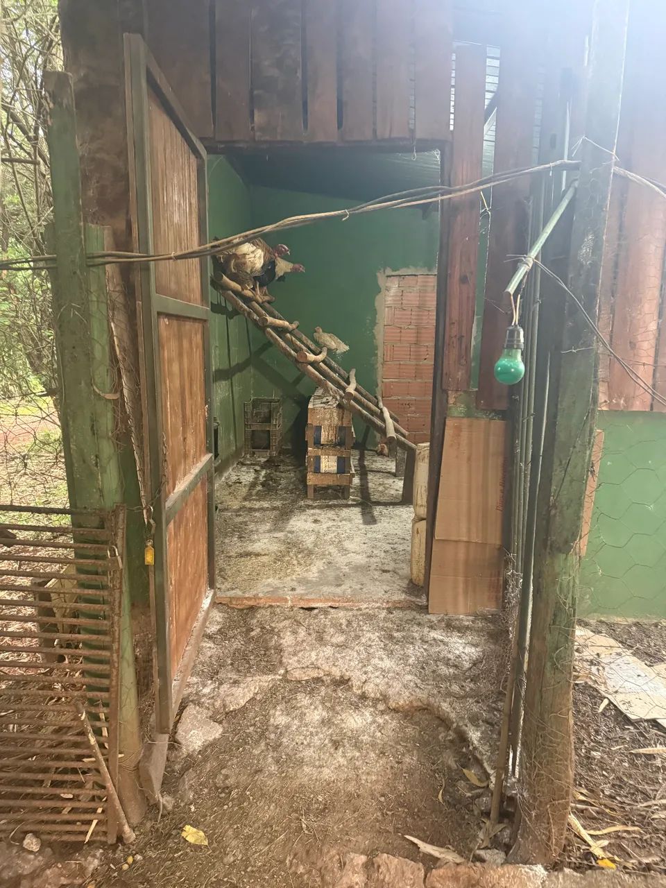 Jandineiro com experiência  e referencia  - Foto 3