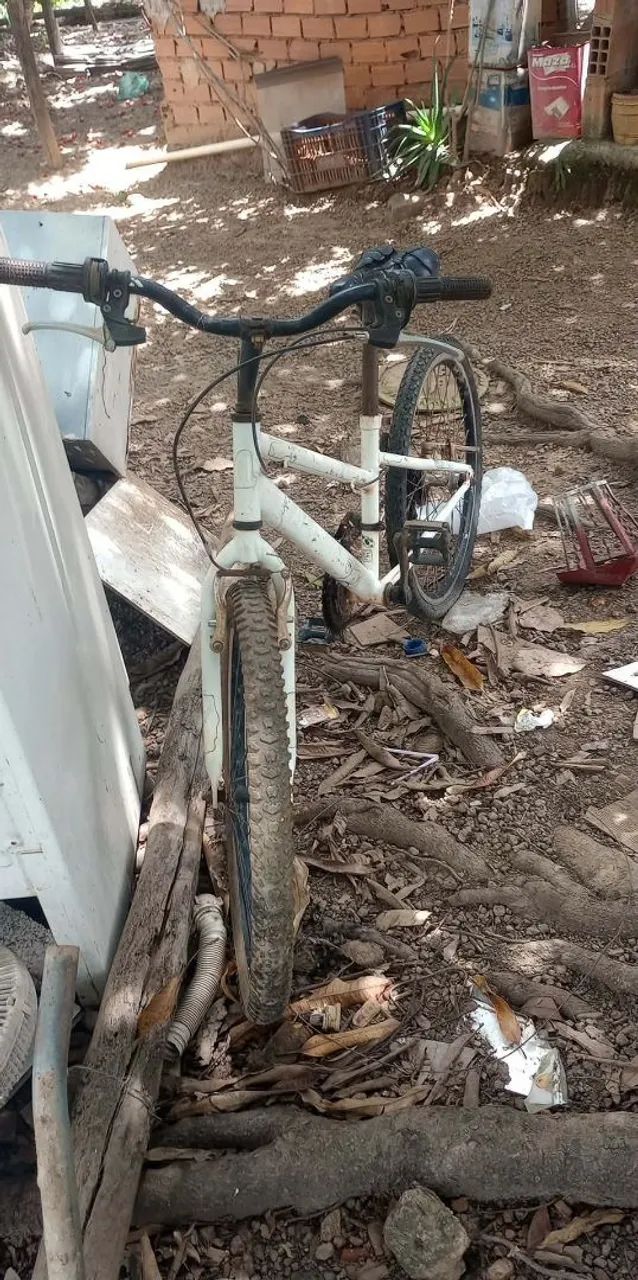 Bicicletas 