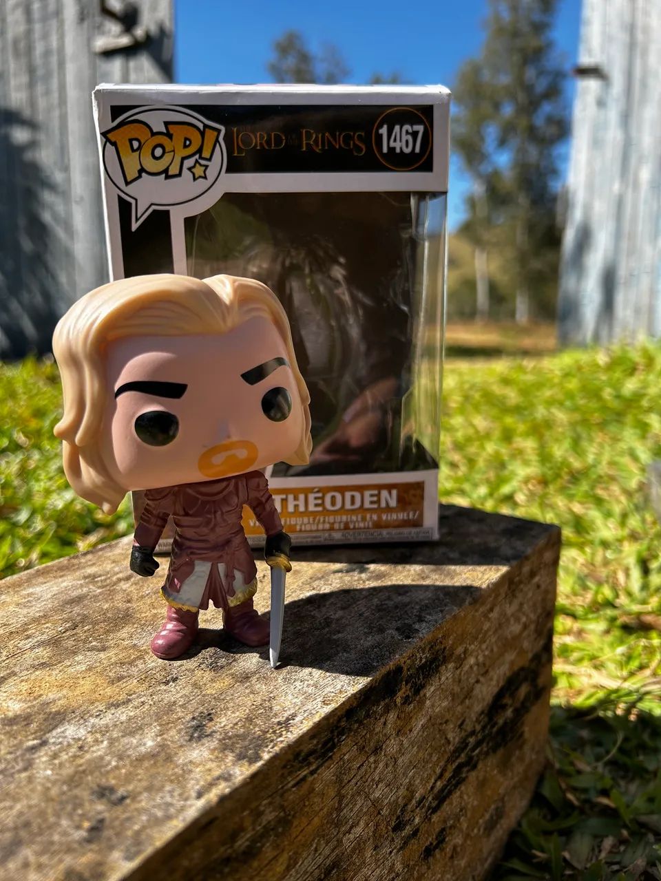 Funko pop Theoden senhor dos anéis com caixa 