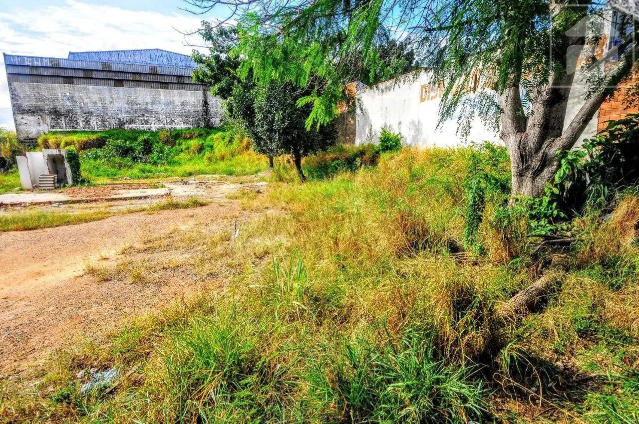 Terreno para aluguel em Cidade Satélite Íris, Campinas - SP | Cód 24676