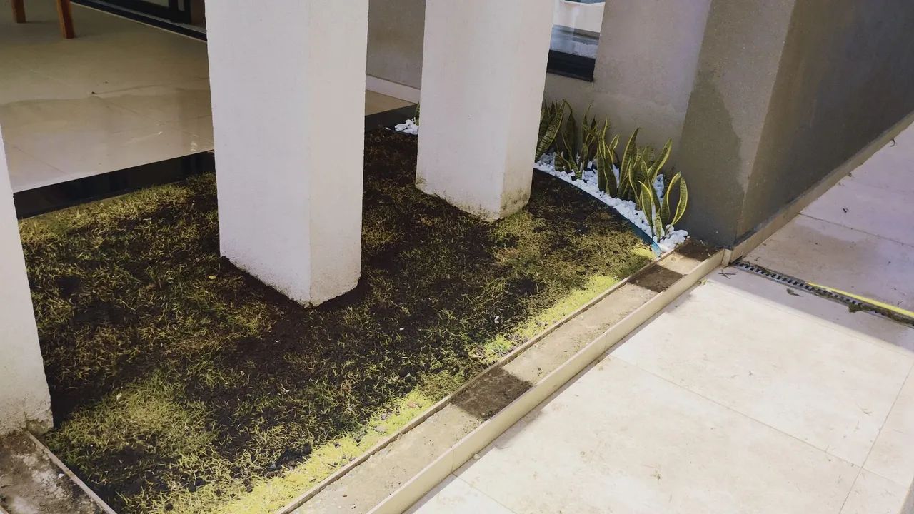 Manutenção em jardim  - Foto 2