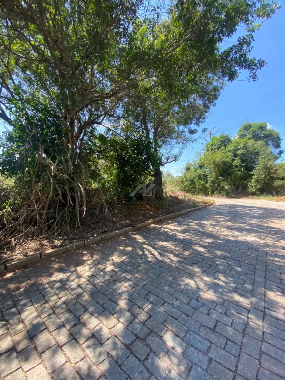 terreno - Sousas - Campinas - Foto 5