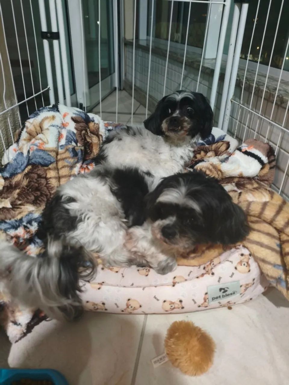 Doa-se/PAI E FILHO  - Foto 3
