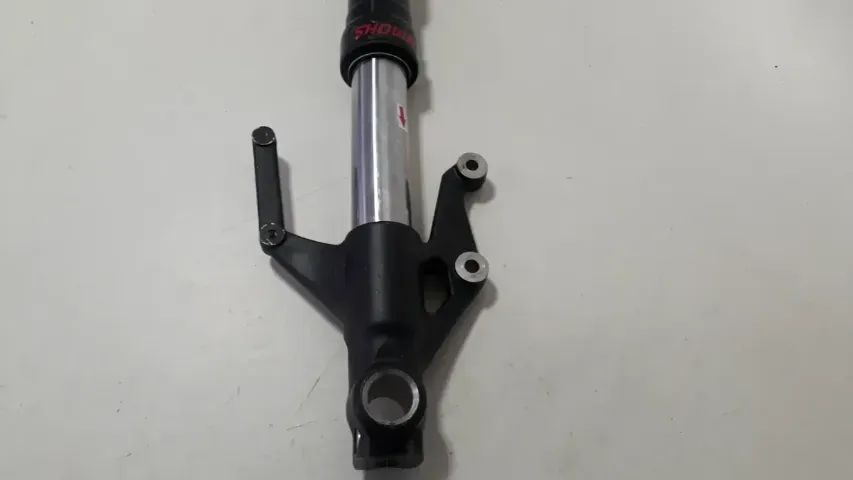 Bengala Triumph Tiger 660 Sport 22/25 L/e Orig Torta 55984 - Foto 2