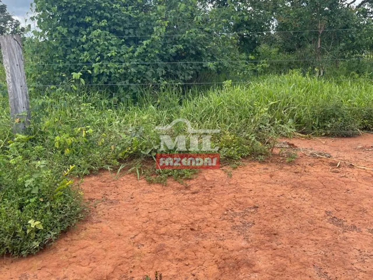Fazenda Dupla Aptidão em Uruaçu-GO. (44 Alqueires) - Foto 5