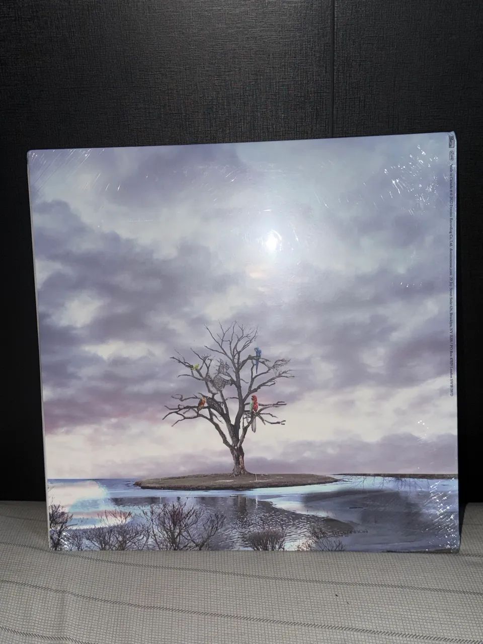 Alex G - God Save the Animals (Disco de Vinil) - Foto 2