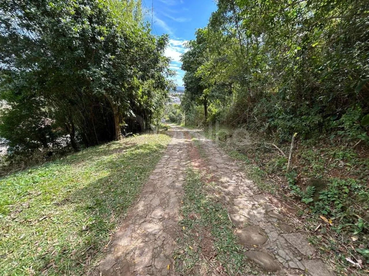 Terreno para Venda em Florianópolis, Barra Da Lagoa - Foto 3