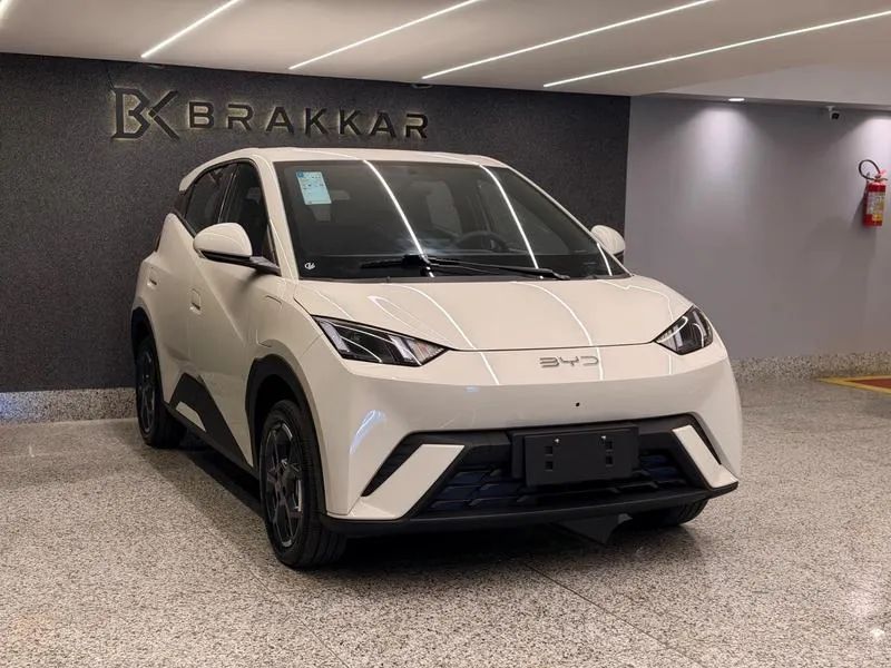 BYD Dolphin Mini (Elétrico) 2027 - Foto 3