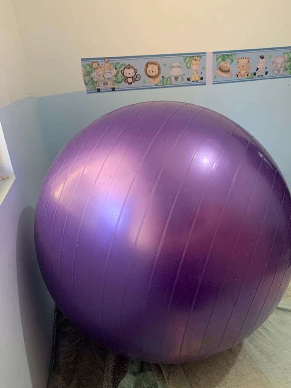 Bola de exercício 