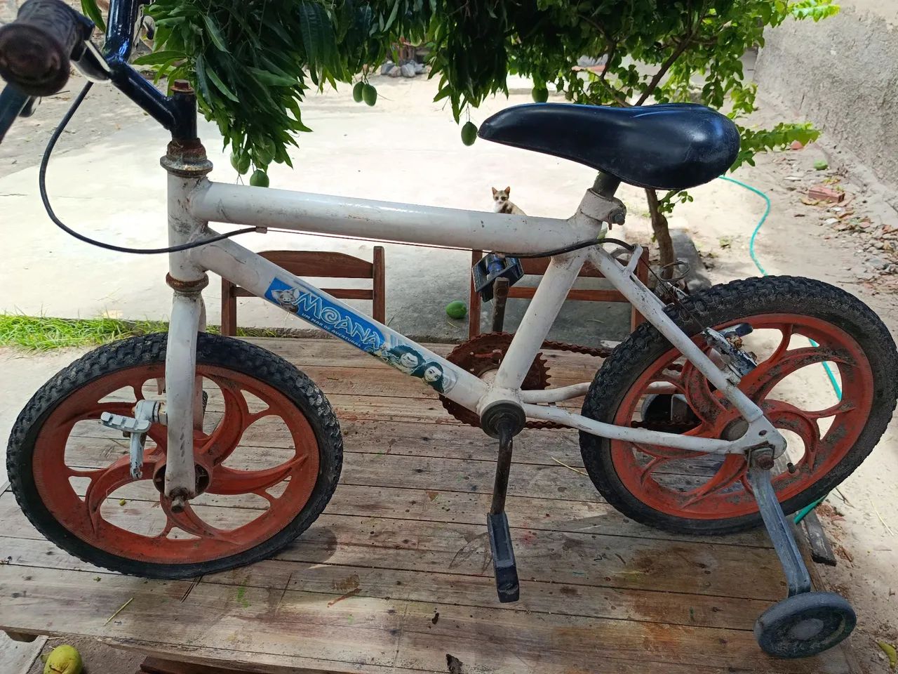 Bicicleta infantil Feminina 