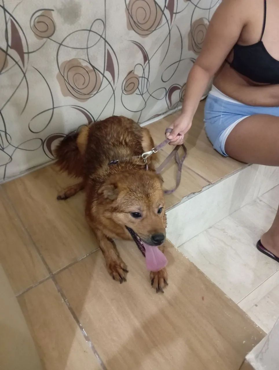 Doação de jade - Foto 2